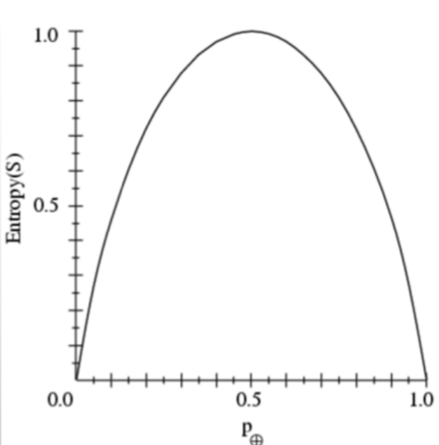 Entropy curve
