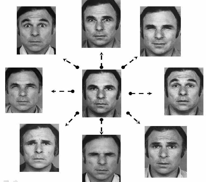 Facial Expressions