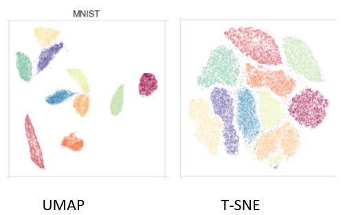UMAP vs. t-SNE